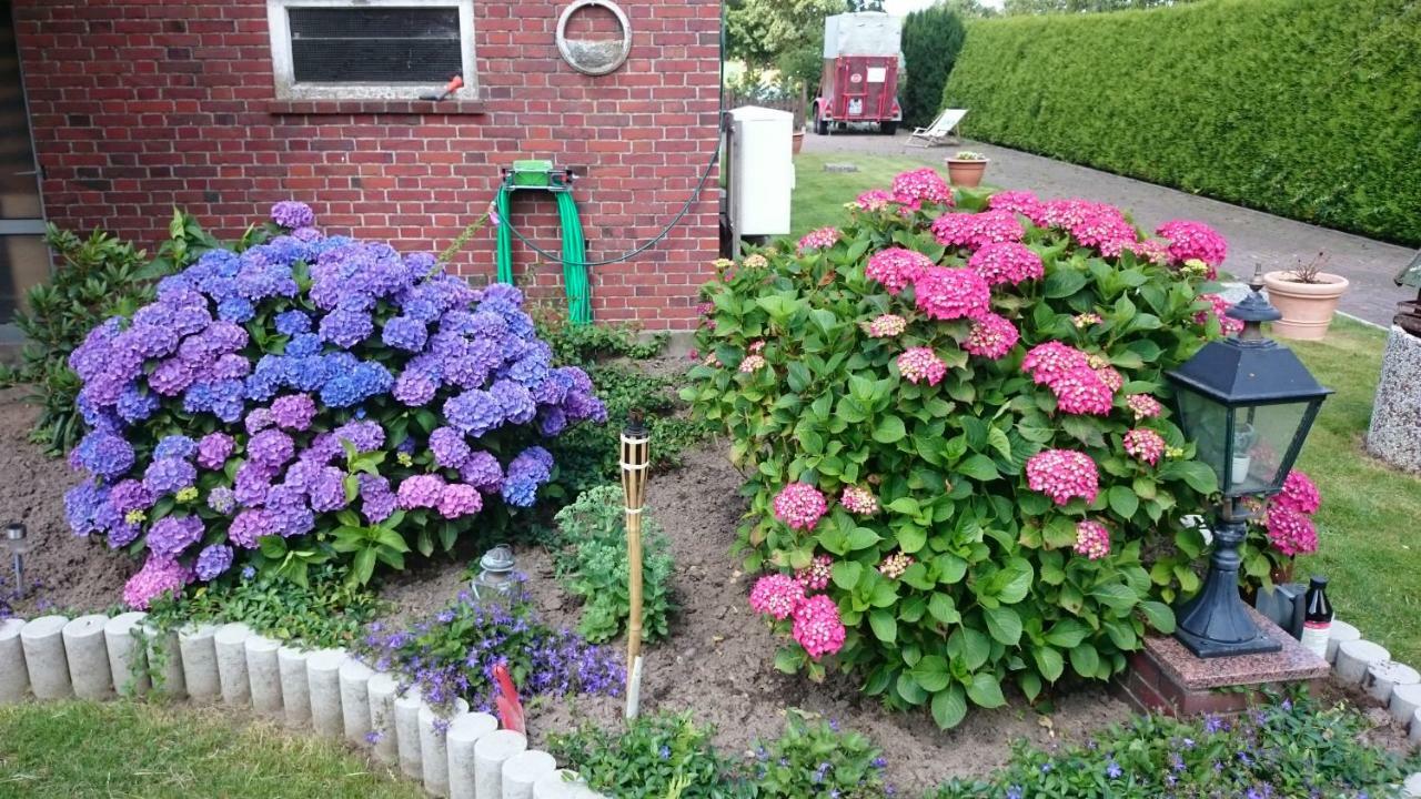 Ferienwohnung Nicol Dunum Bagian luar foto